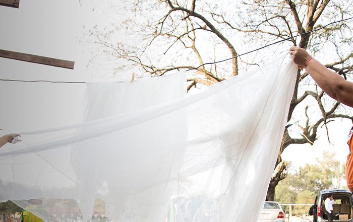 Mother and daughter holding a mosquito net